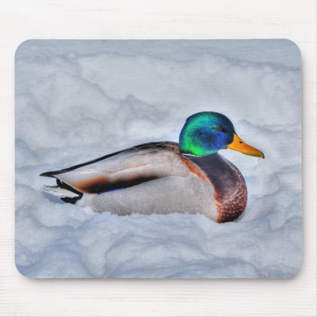 Mousepad Mallard Duck Birdlover Wildlife Foto (Frente)