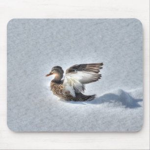 Mousepad Mallard Duck Birdlover Wildlife Foto