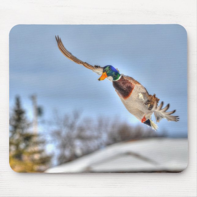Mousepad Mallard Duck Birdlover Wildlife Foto (Frente)