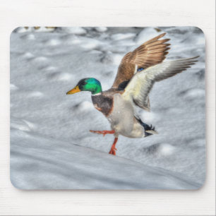 Mousepad Mallard Duck Birdlover Wildlife Foto