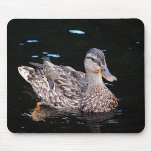 Mousepad Mallard Duck fêmea