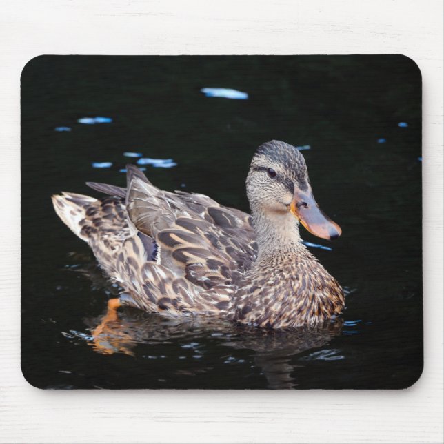 Mousepad Mallard Duck fêmea (Frente)