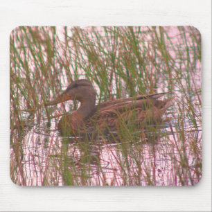 Mousepad Mallard Duck Nature