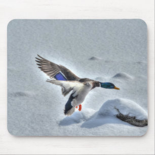 Mousepad Mallard Duck Wildlife Foto para amantes de aves