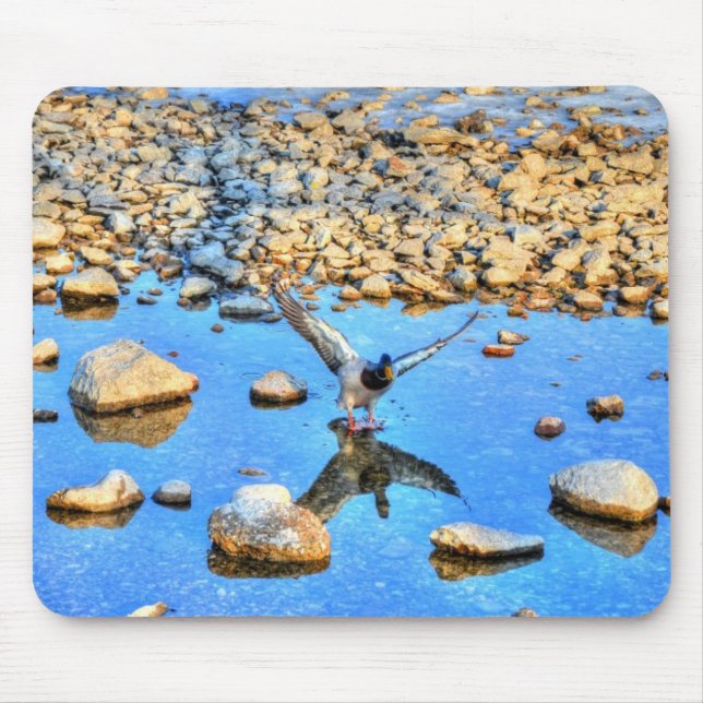 Mousepad Mallard Duck Wildlife Foto para amantes de aves (Frente)