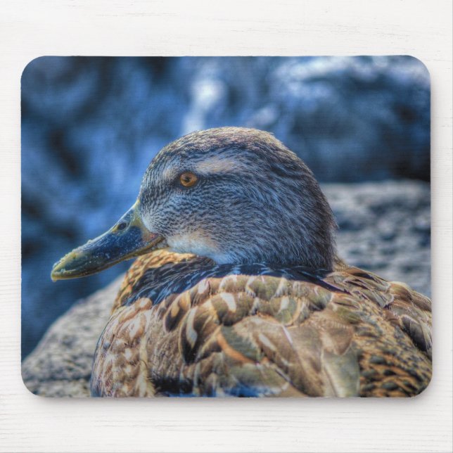 Mousepad Mallard Duck Wildlife Foto para amantes de aves (Frente)