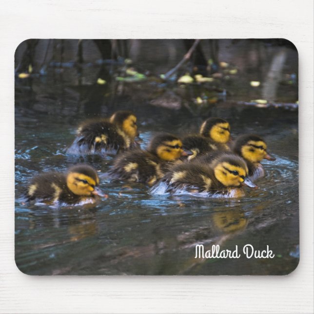 Mousepad Mallard Ducklings (Frente)