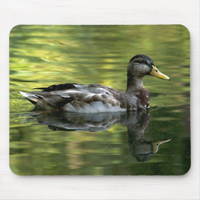 Mousepad Mallard Espelhado Na Água Verde (Frente)