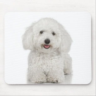 Mousepad Maltês - Branco