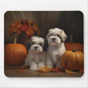 Mousepad Malti tzu Cachorrinho Delícia de Outono Abóbora