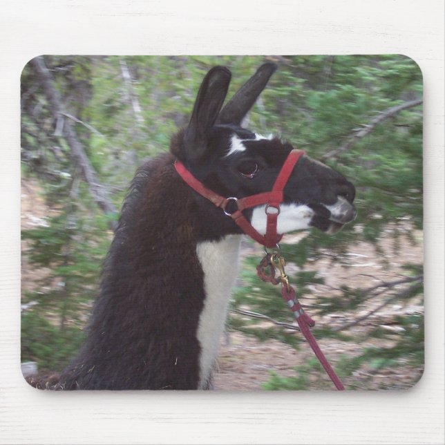 Mousepad Mama do lama (Frente)