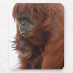 Mousepad Mamã e bebê Orangutan