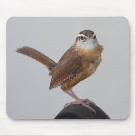 Mousepad Mama Wren