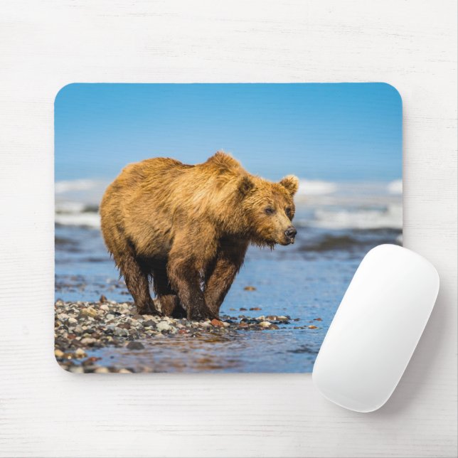 Mousepad Mamãe urso observando seus dois filhos (Com mouse)