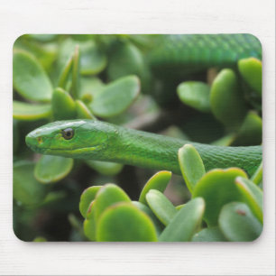 Mousepad Mamba Verde Oriental (Dendroaspis Angusticeps)