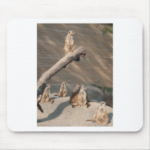 Mousepad Mamíferos selvagens Meerkat dos animais