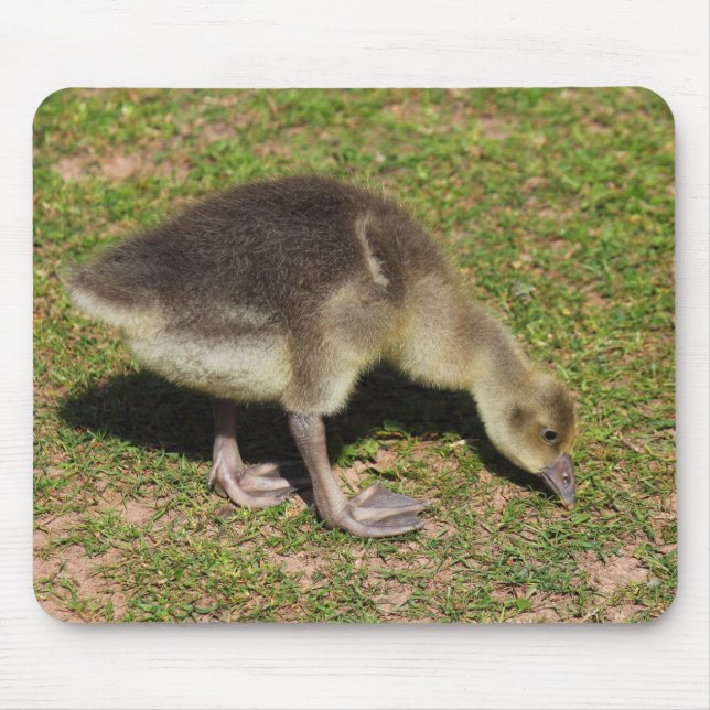Mousepad Manchas (Frente)
