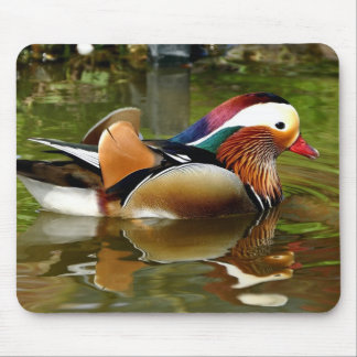 Mousepad Mandarin Duck