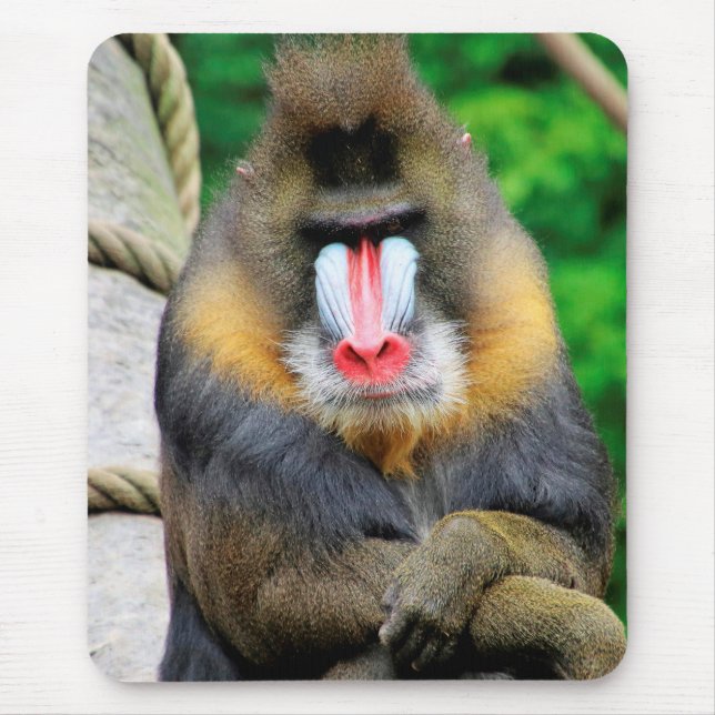 Mousepad Mandrill 001 (Frente)