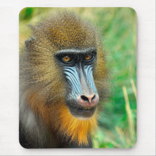 Mousepad Mandrill 002