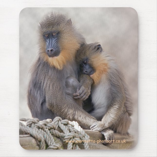 Mousepad Mandrill e Mousemat Jovem (Frente)
