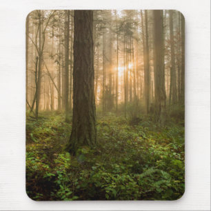 Mousepad Manhã nevoenta noroeste pacífica da floresta