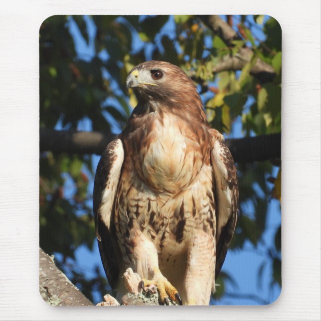 Mousepad Manteiga Vermelha Tailandesa (Frente)