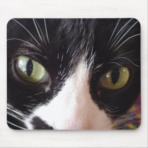 Mousepad Mantenha seus olhos de gato no rato!