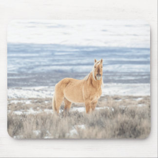 Mousepad Mão do rato Corona