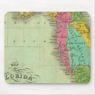 Mousepad Mapa da Flórida