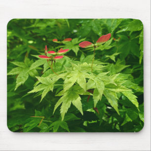 Mousepad Mapeamento em Primavera