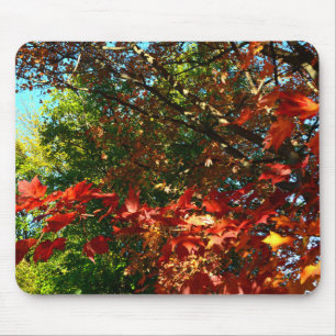 Mousepad Mapeamento Japonês no outono