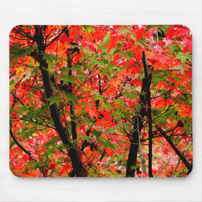 Mousepad Mapeamentos Japoneses (Frente)