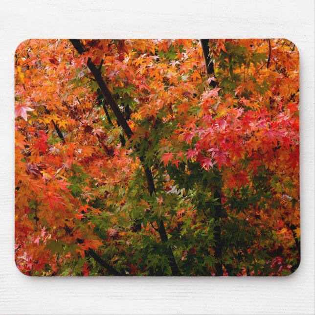 Mousepad Mapeamentos Japoneses no outono (Frente)