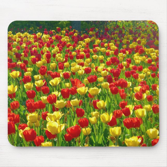 Mousepad Mar de Tulipas (Frente)