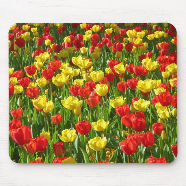 Mousepad Mar de Tulips III (Frente)