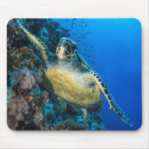 Mousepad Mar Vermelho da tartaruga de mar verde  