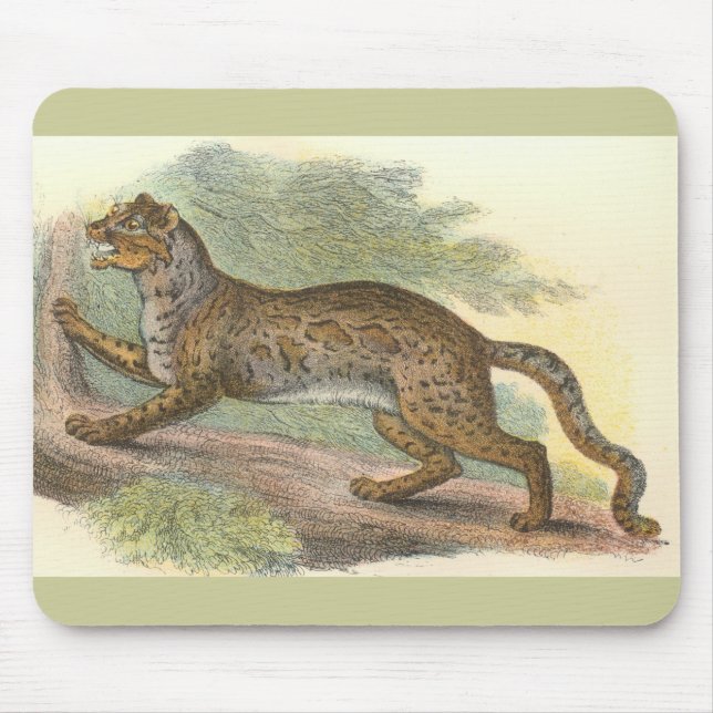 Mousepad Marbled Cat, Felis marmorata (Frente)