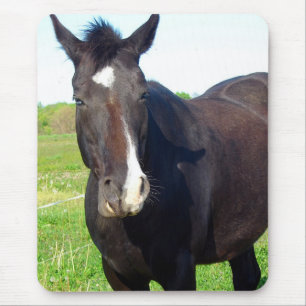 Mousepad Mare Engraçado
