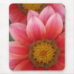 Mousepad margarida africana