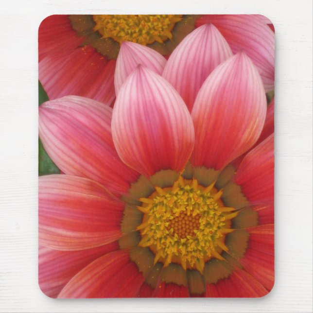 Mousepad margarida africana (Frente)