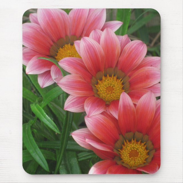 Mousepad margarida africana (Frente)