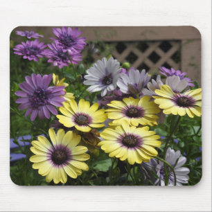 Mousepad Margarida Africana Amarela e Roxa