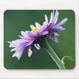 Mousepad Margarida Alpina