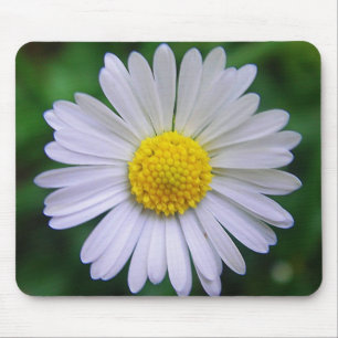 Mousepad Margarida amarela-branca brilhante