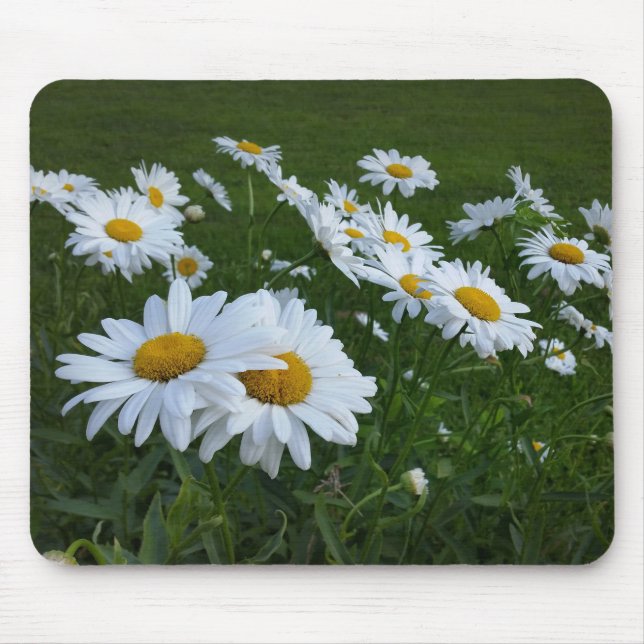 Mousepad margarida branca (Frente)