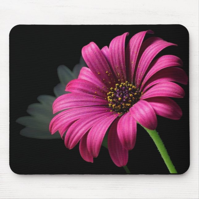 MOUSEPAD MARGARIDA COR-DE-ROSA DO ESTÚDIO (Frente)