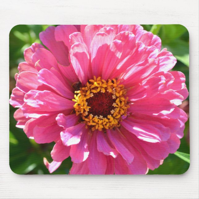 Mousepad Margarida cor-de-rosa floral retrógrada elegante (Frente)