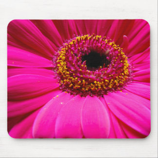 Mousepad margarida do gerber do rosa quente