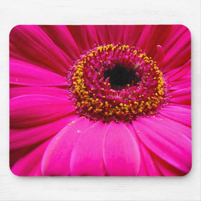 Mousepad margarida do gerber do rosa quente (Frente)